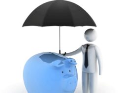 Insurance Claim Meaning In Hindi