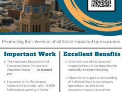 Insurance Company Departments