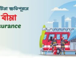 Insurance Company In Bangladesh