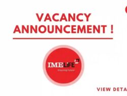 Insurance Company Job Openings