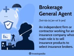 Insurance Ga Meaning