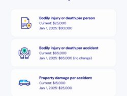 Insurance Limits Meaning