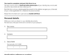 Insurance Number
