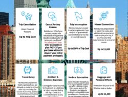 Insurance Policy Coverage Details