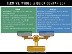 Insurance Query Meaning