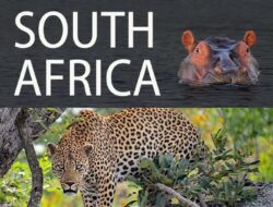 Popular Tourist Attractions In South Africa