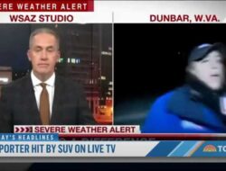 Tech News Reporter
