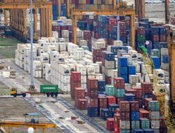 Technology Adoption In Supply Chain