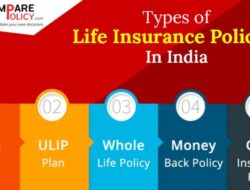 Term Insurance Yearly Premium