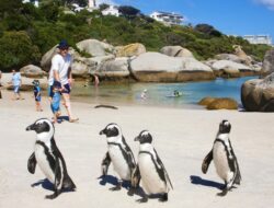 Tourism Destinations In South Africa