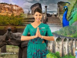 Tourist Destinations Sri Lanka