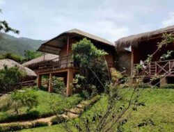 Tourist Places In Kerala Pdf