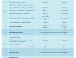 Travel Insurance Allianz Indonesia