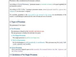 What Is Premium Rate In Insurance