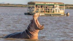 African Tourism Destination Zulu 7ff1f389b Jpg