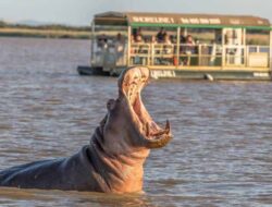 African Tourism Destination Zulu