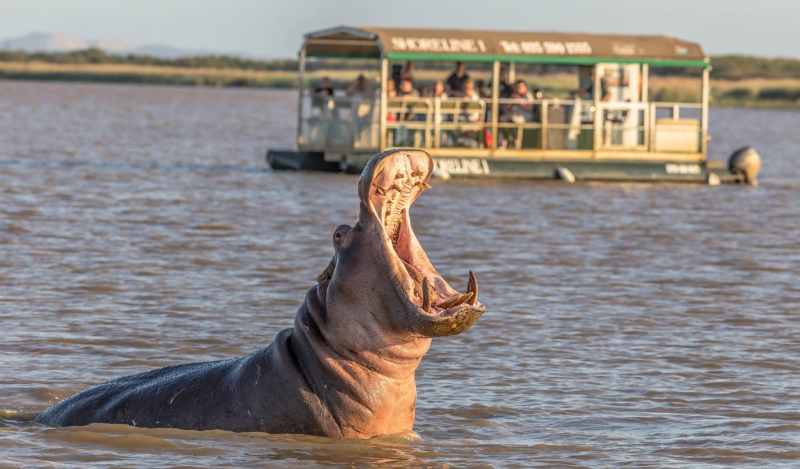African Tourism Destination Zulu 7ff1f389b Jpg