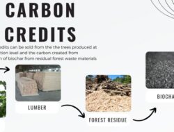 Biochar Technology Readiness Level