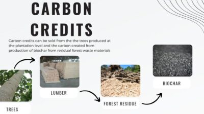 Biochar Technology Readiness Level B0854d26f Jpg