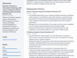 Business Analyst And Information Technology