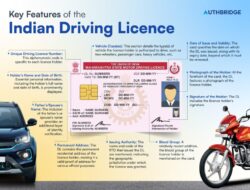 Can I Get Car Insurance With International Driver’s License