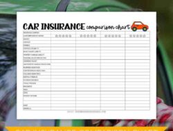 Car Insurance Comparison To