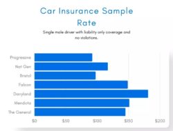 Car Insurance Comparison