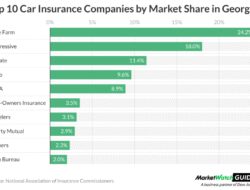 Car Insurance Georgia