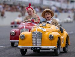 Car Insurance Group Checker