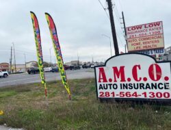 Car Insurance Quotes Houston Texas