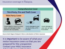 Car Insurance Types