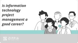 Information Technology Project Management 5a62a010b Jpg
