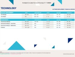 Information Technology Salary Per Month