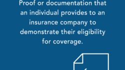 Insurance Company Ranking 2024