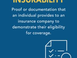 Insurance Company Ranking 2024