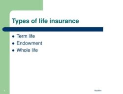 Insurance Endowment Meaning