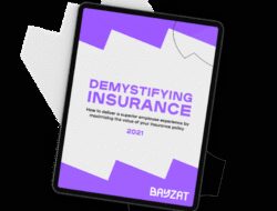 Insurance Experience Meaning