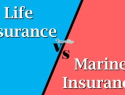 Insurance Hull Meaning