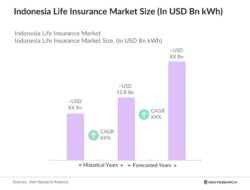 Insurance In Indonesian