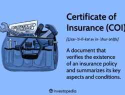 Insurance Meaning Of Gujarati