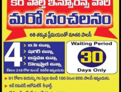 Insurance Meaning Telugu