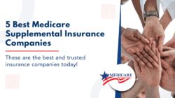 Insurance Policy Best Companies Cbd4544ae Jpg
