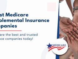Insurance Policy Best Companies