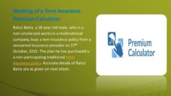 Insurance Policy Calculator 1e3012caf Jpg