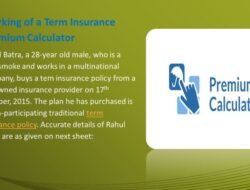 Insurance Policy Calculator