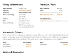Insurance Policy Declaration Page