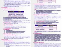 Insurance Policy For Family