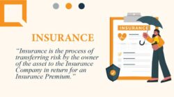 Insurance Premium By Company