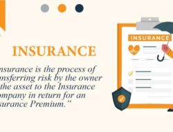 Insurance Premium By Company