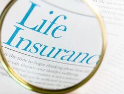 Insurance Premium News